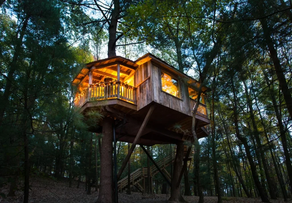 Глэмпинг. Дом на дереве