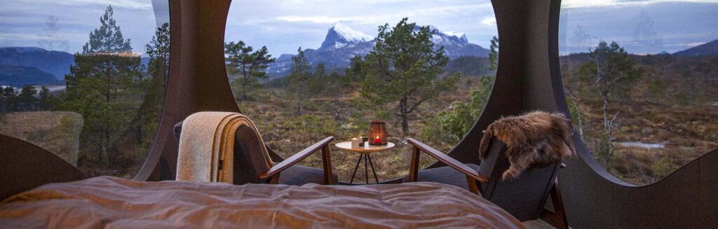 Глэмпинг. Купол. Вид из окна.