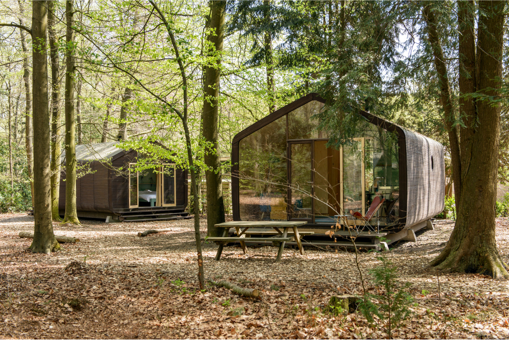 Модульный дом в лесу