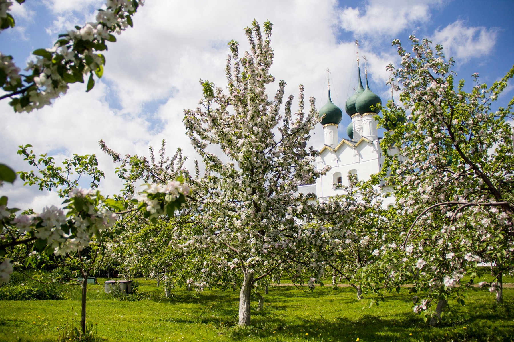 Митрополичий сад в Ростове Великом
